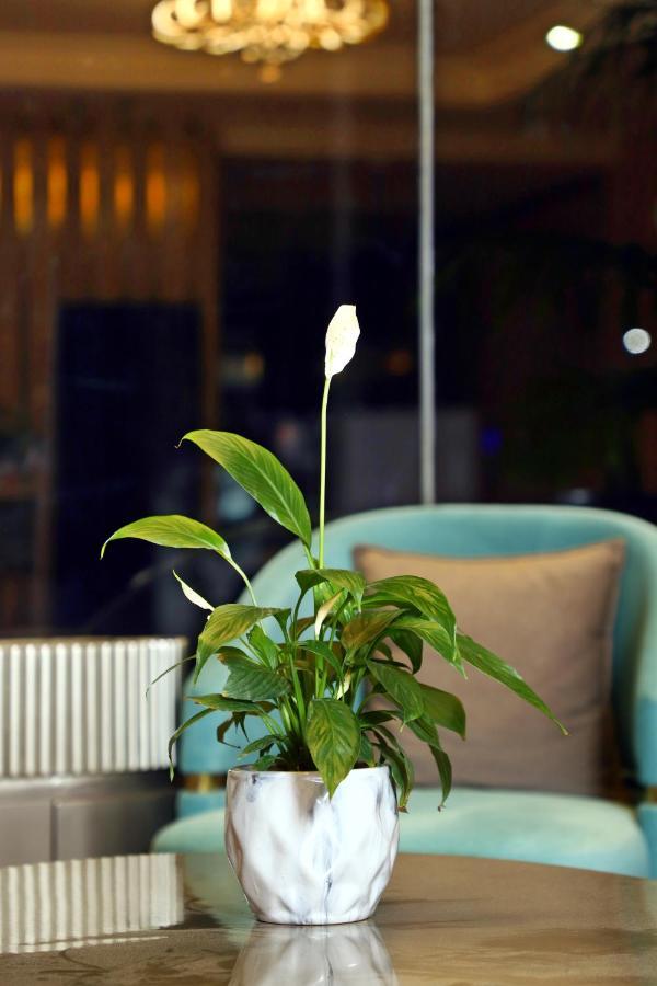 Blusalzz Residence Amritsar Esterno foto